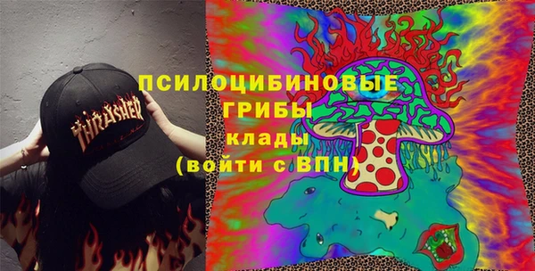 PSILOCYBIN Арсеньев