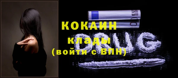 индика Армянск