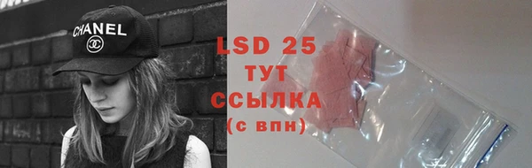 PSILOCYBIN Арсеньев