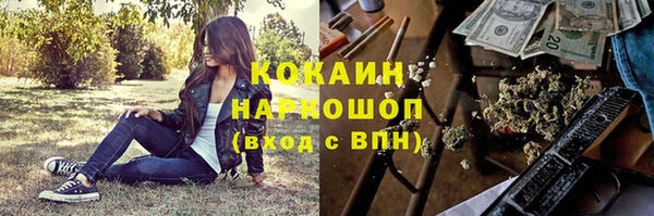 гашик Балахна