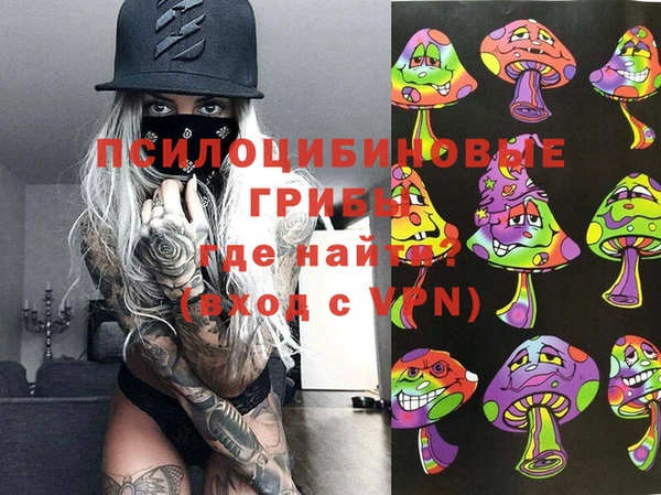 индика Армянск