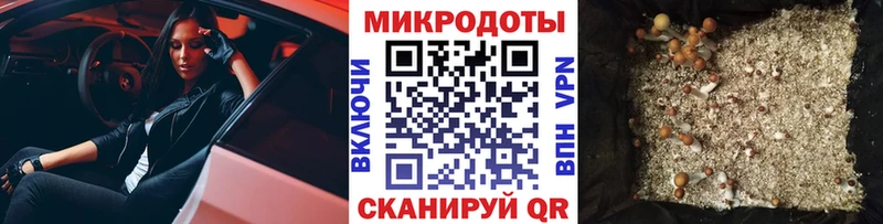 что такое наркотик  Гудермес  Галлюциногенные грибы Psilocybine cubensis 