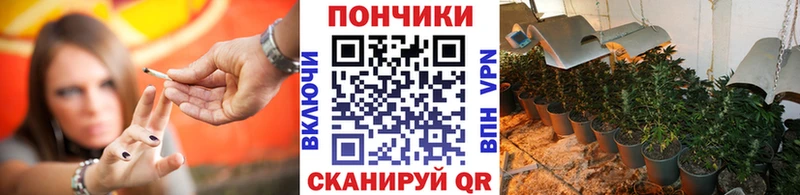 Канабис SATIVA & INDICA Гудермес
